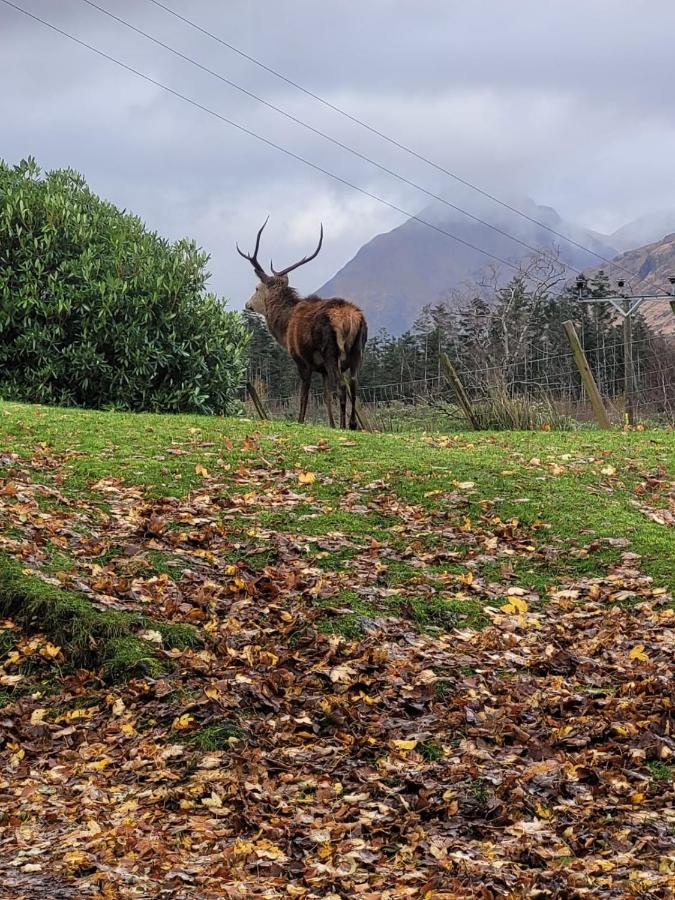 فيلا Ormasaig, Self Catering, One Mile To Town & Close To Ben Nevis فورت ويليام المظهر الخارجي الصورة
